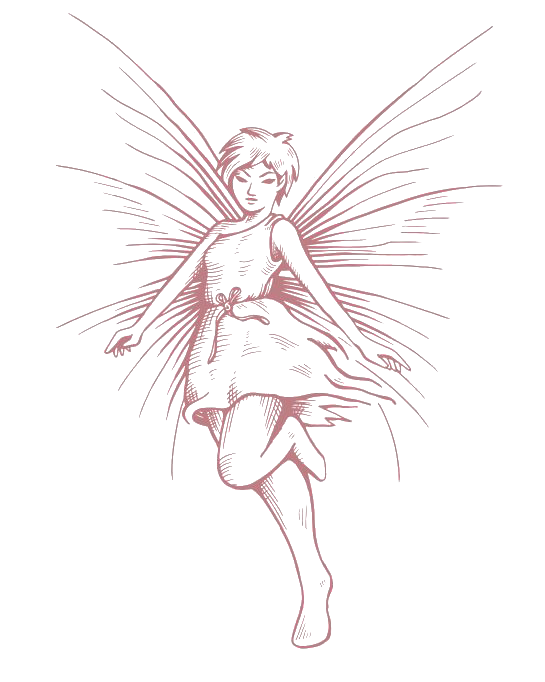 The Cleaning Fairies logo